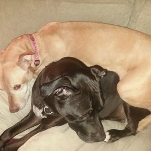 Meet your Posher, Alison